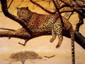 léopard 20